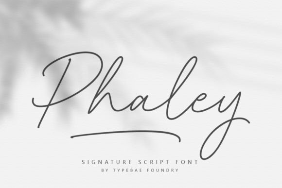 Phaley: Where Handwritten Elegance Meets Modern Design