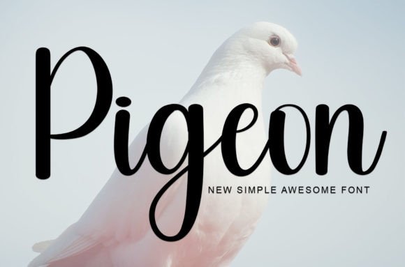 Pigeon: Handwritten Elegance, Built for Modern Projects